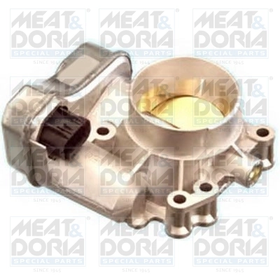 Throttle Body